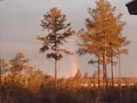 Mingo Trails Rainbow